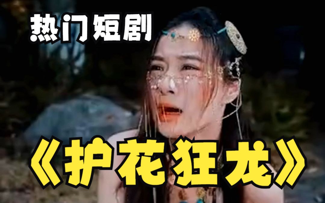 护花狂龙高清在线观看_护花狂龙全集免费播放_现代都市 - 星影汇(2023中国大陆现代都市)高清在线观看_护花狂龙高清在线观看_护花狂龙全集免费播放_现代都市 - 星影汇全集免费播放_现代都市 - 星影汇