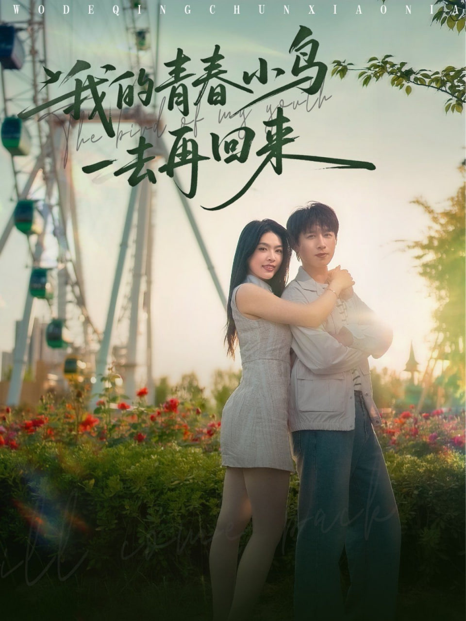 我的青春小鸟一去再回来高清在线观看_我的青春小鸟一去再回来全集免费播放_短剧 - 星影汇