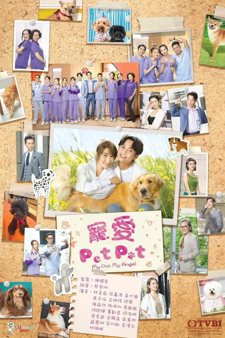 宠爱Pet Pet高清在线观看_宠爱Pet Pet全集免费播放_香港剧 - 星影汇