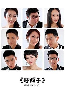 野鸽子高清在线观看_野鸽子全集免费播放_国产剧 - 星影汇