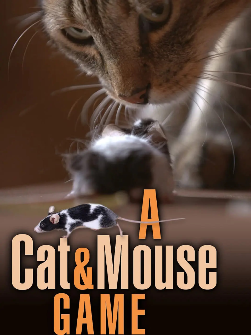 猫鼠游戏 2019高清在线观看_猫鼠游戏 2019全集免费播放_纪录片 - 星影汇