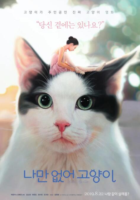 只有我没有猫高清在线观看_只有我没有猫全集免费播放_剧情片 - 星影汇