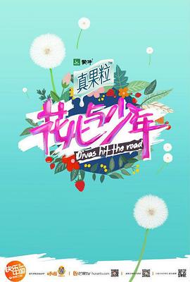 花儿与少年 第四季高清在线观看_花儿与少年 第四季全集免费播放_大陆综艺 - 星影汇