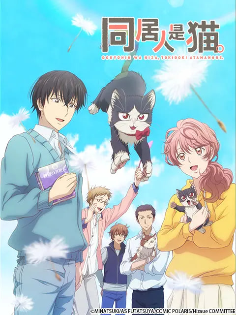 同居人是猫 同居人高清在线观看_同居人是猫 同居人全集免费播放_日本剧 - 星影汇