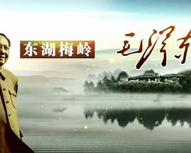 东湖梅岭毛泽东高清在线观看_东湖梅岭毛泽东全集免费播放_纪录片 - 星影汇