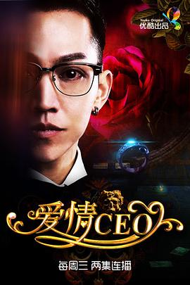 爱情CEO高清在线观看_爱情CEO全集免费播放_国产剧 - 星影汇