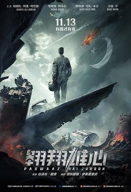 翱翔雄心高清在线观看_翱翔雄心全集免费播放_战争片 - 星影汇