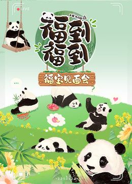 福到福到福宝见面会(2024中国大陆大陆综艺 综艺)高清在线观看_福到福到福宝见面会全集免费播放_犯罪片 - 星影汇